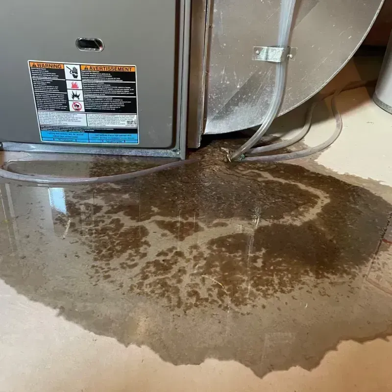 Appliance Leak Cleanup in Sumner, IL